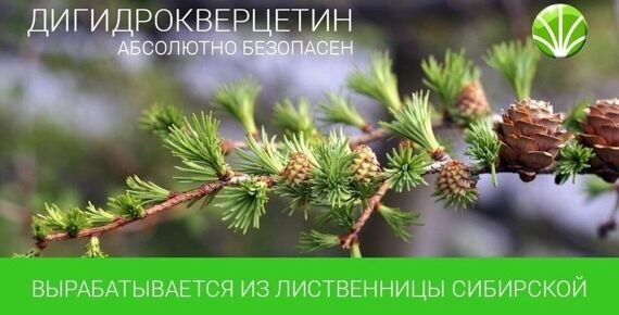 Дигидрокверцетин Дигидрокверцетин