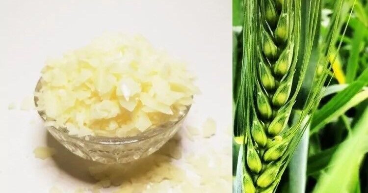 XYLIANCE  натуральный  эмульгатор(масло в воде)